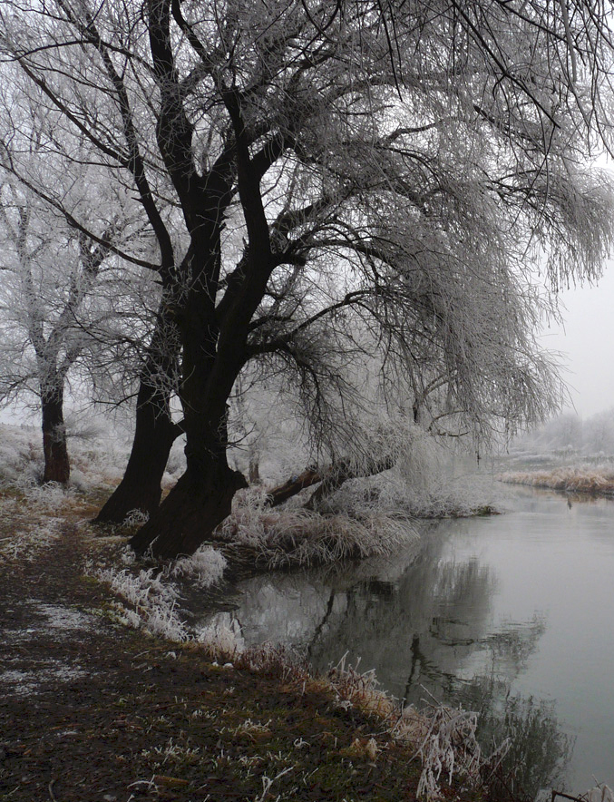 photo "***" tags: landscape, winter