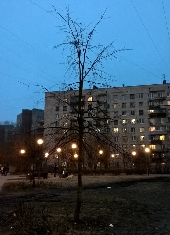 фото "The Tree of Lights" метки: архитектура, интерьер, разное, 