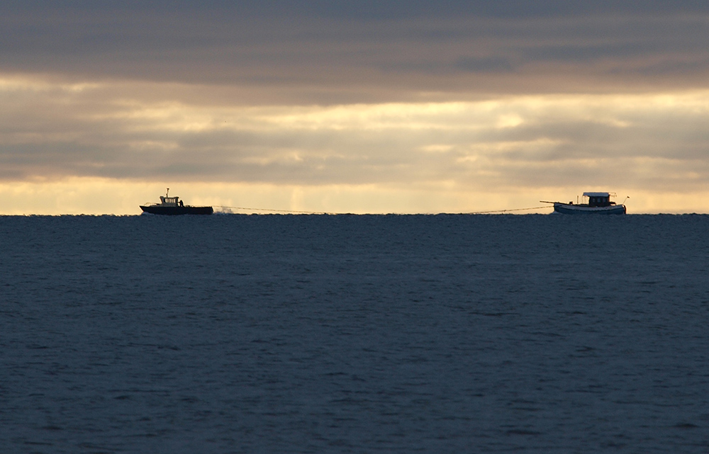 photo "Evening Freight at Sea" tags: landscape, reporting, 