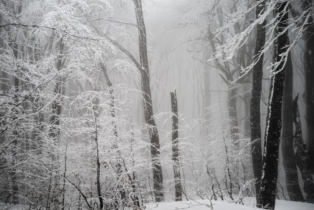 фото "***" метки: пейзаж, 