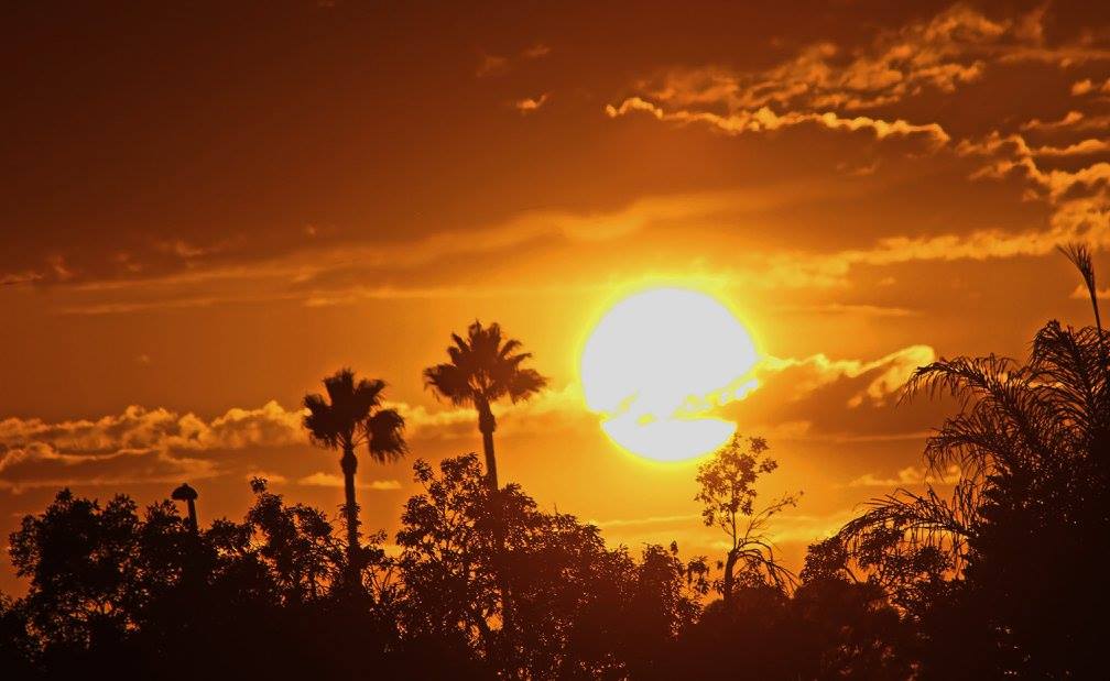 фото "***" метки: природа, пейзаж, Southern California, palm trees, sky clouds, sun, trees, закат