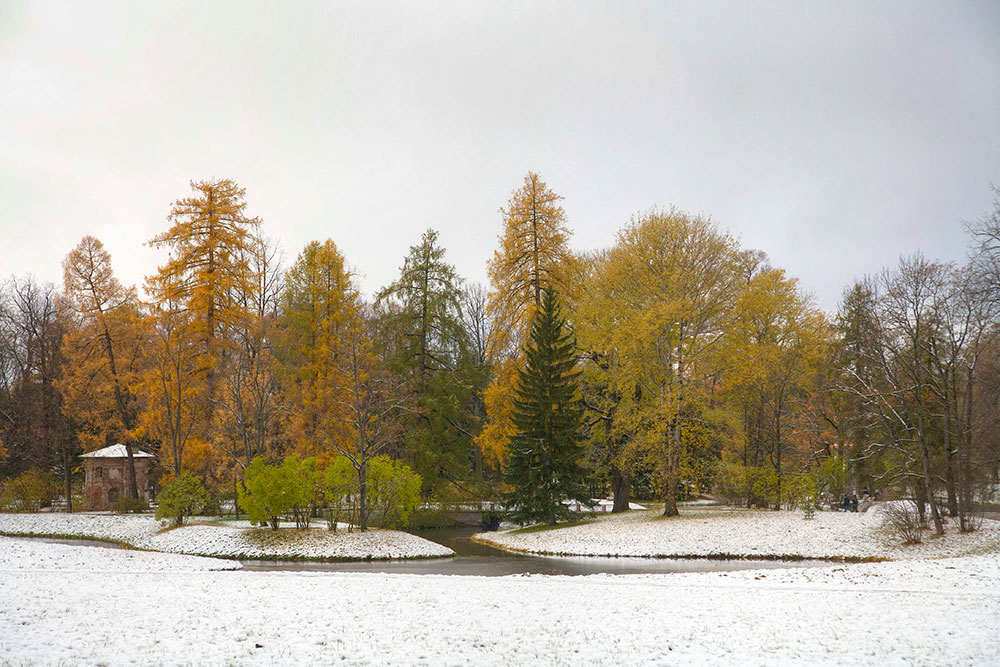 photo "Pushkin" tags: landscape, nature, autumn, forest