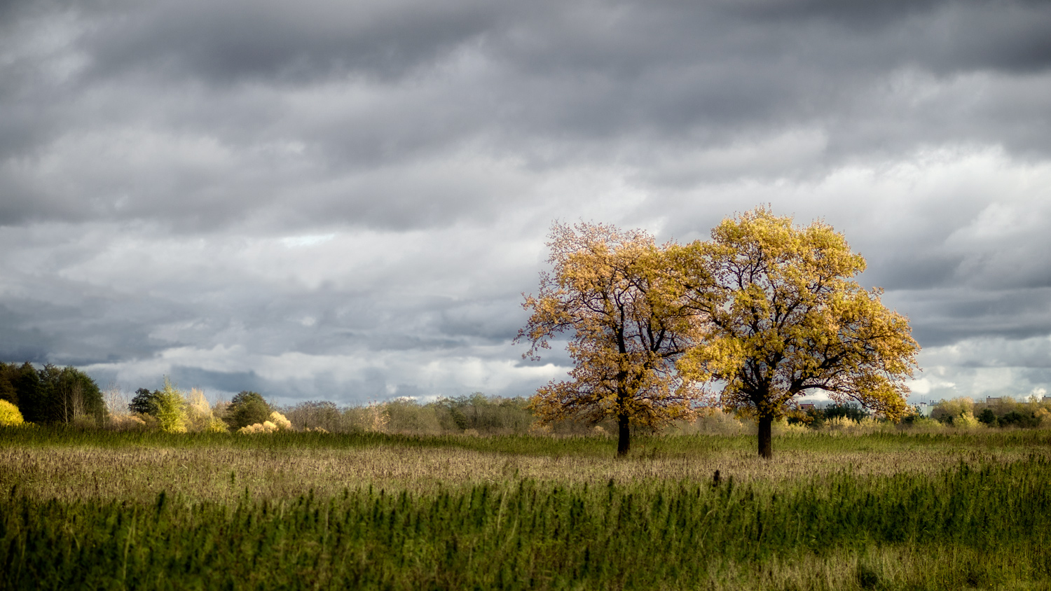 photo "***" tags: landscape, nature, 