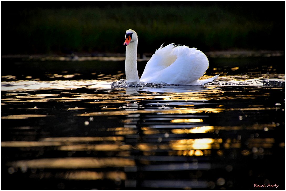 фото "***" метки: пейзаж, природа, 