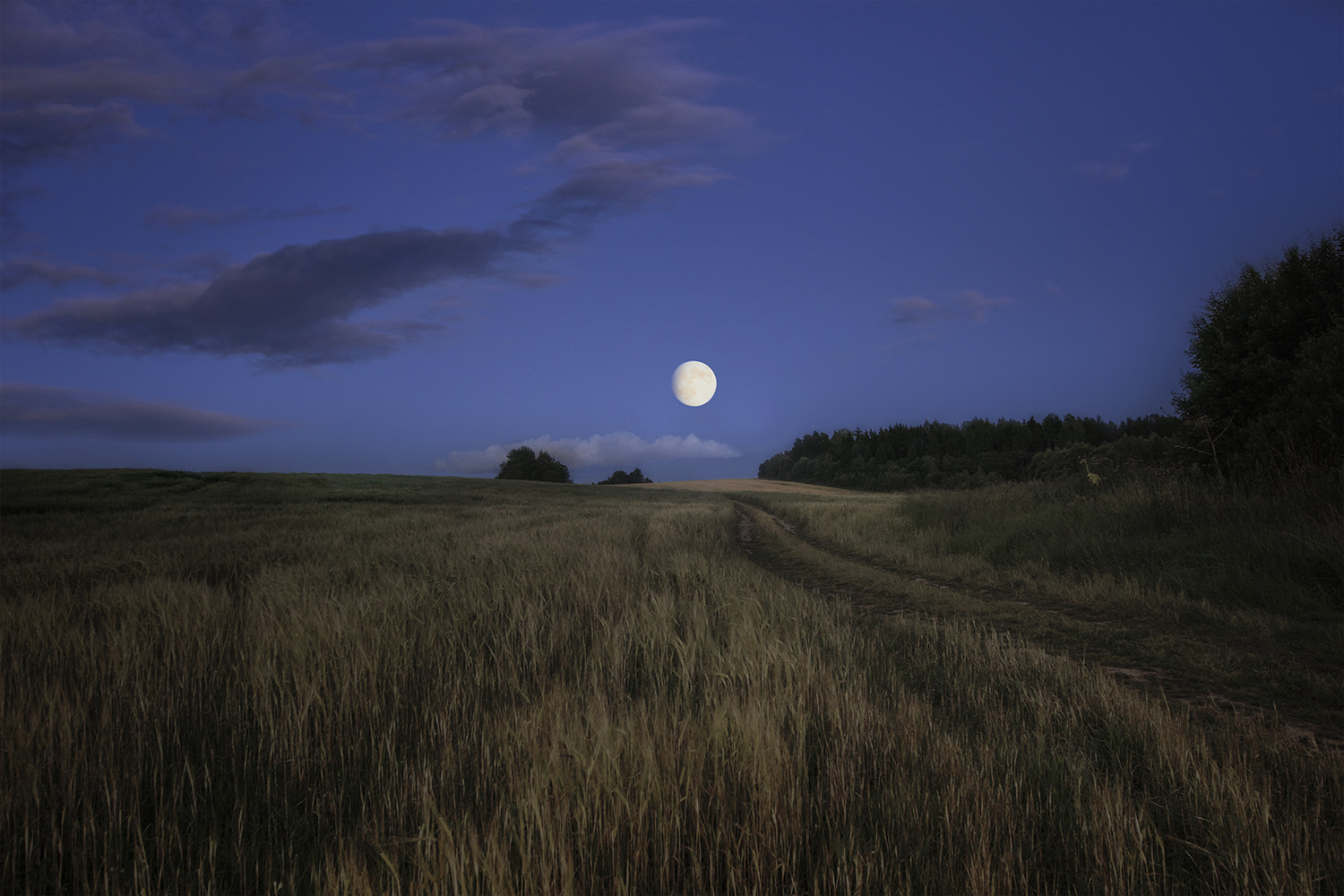 В тихую лунную ночку выйду. Есенин полный месяц встал над лугом. Ночное поле. Поле ночью. Степь ночью.