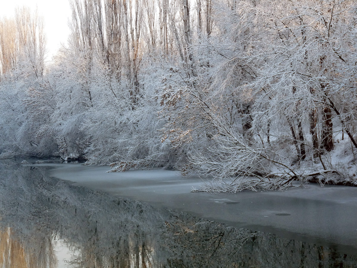 photo "***" tags: landscape, sunset, winter