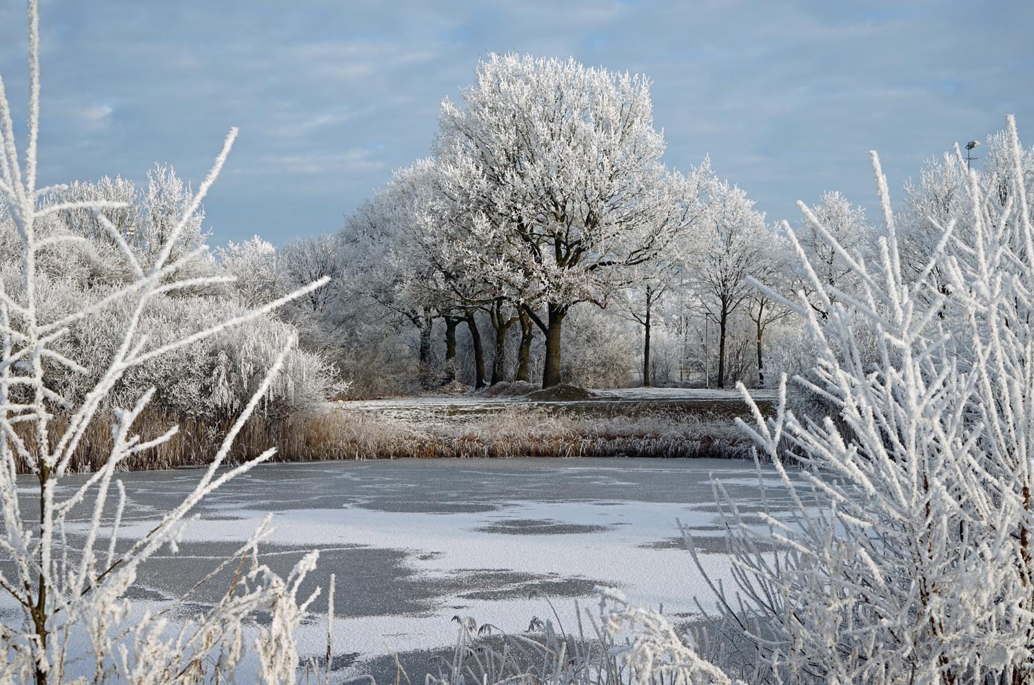 photo "winter" tags: landscape, 