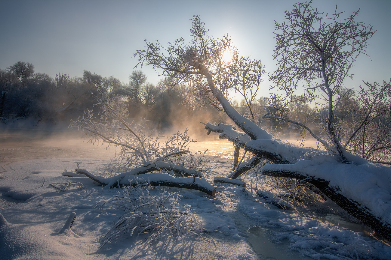 фото "У реки" метки: пейзаж, Клязьма, зима, одинокое дерево, река