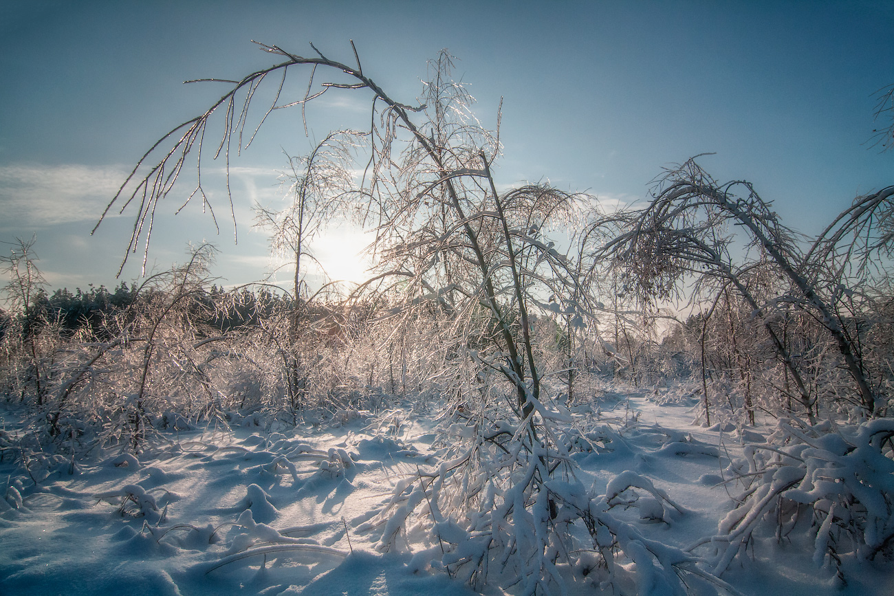 фото "В ледяном плену" метки: пейзаж, зима