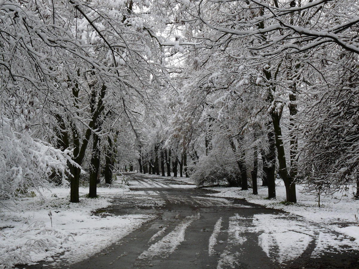 photo "***" tags: nature, city, winter