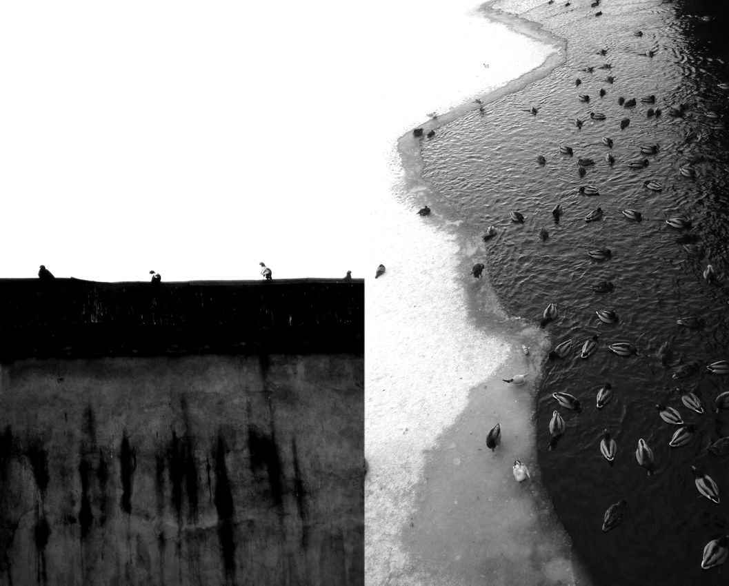 photo "***" tags: black&white, misc., 