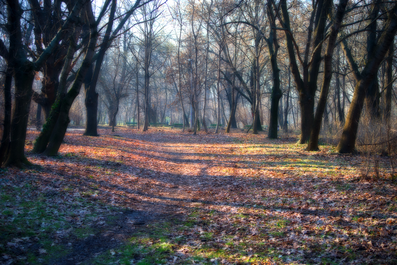 photo "***" tags: nature, park