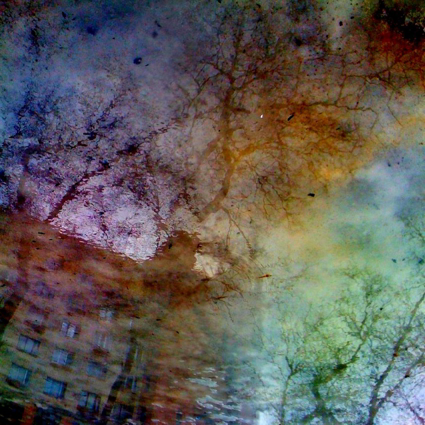 photo "***" tags: misc., 
