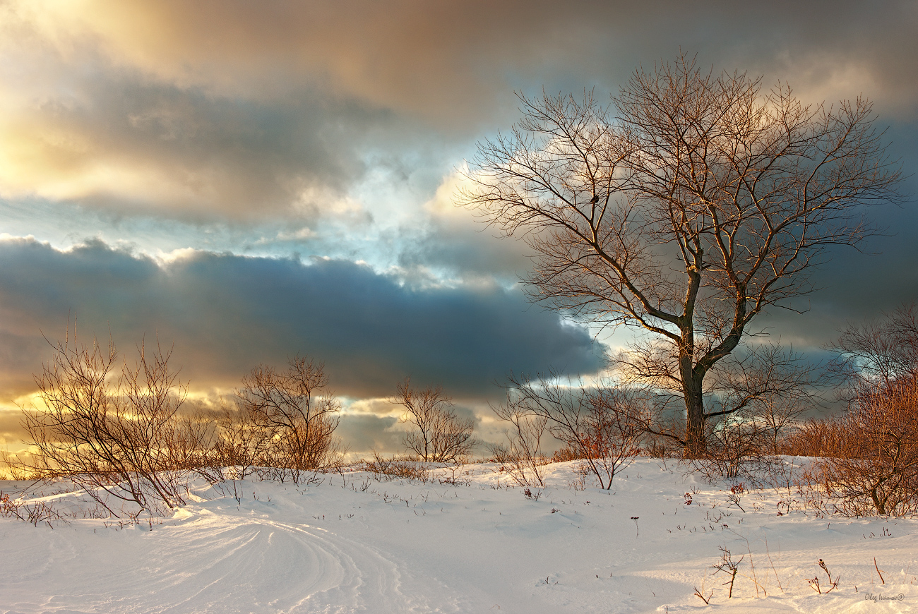 photo "***" tags: , evening, snow, sunset, winter, деревья