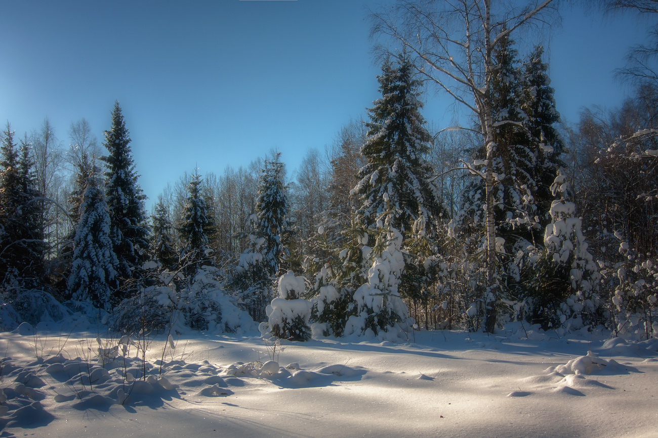 фото "У лесной опушки" метки: пейзаж, зима