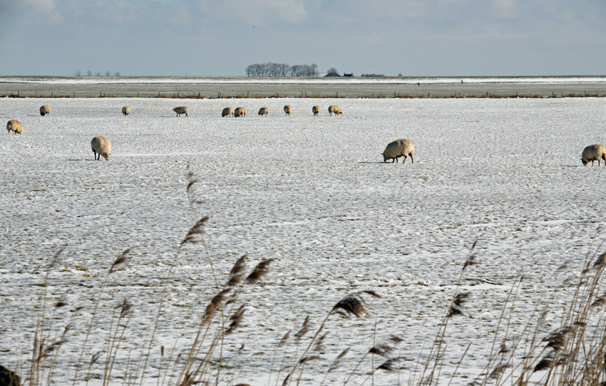 photo "winter==-" tags: landscape, 