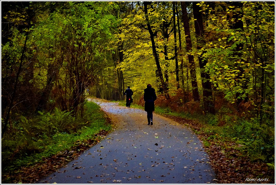 photo "***" tags: landscape, street, nature, 