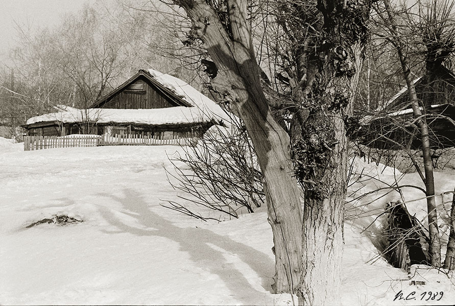 photo "Old tree" tags: landscape, nature, 