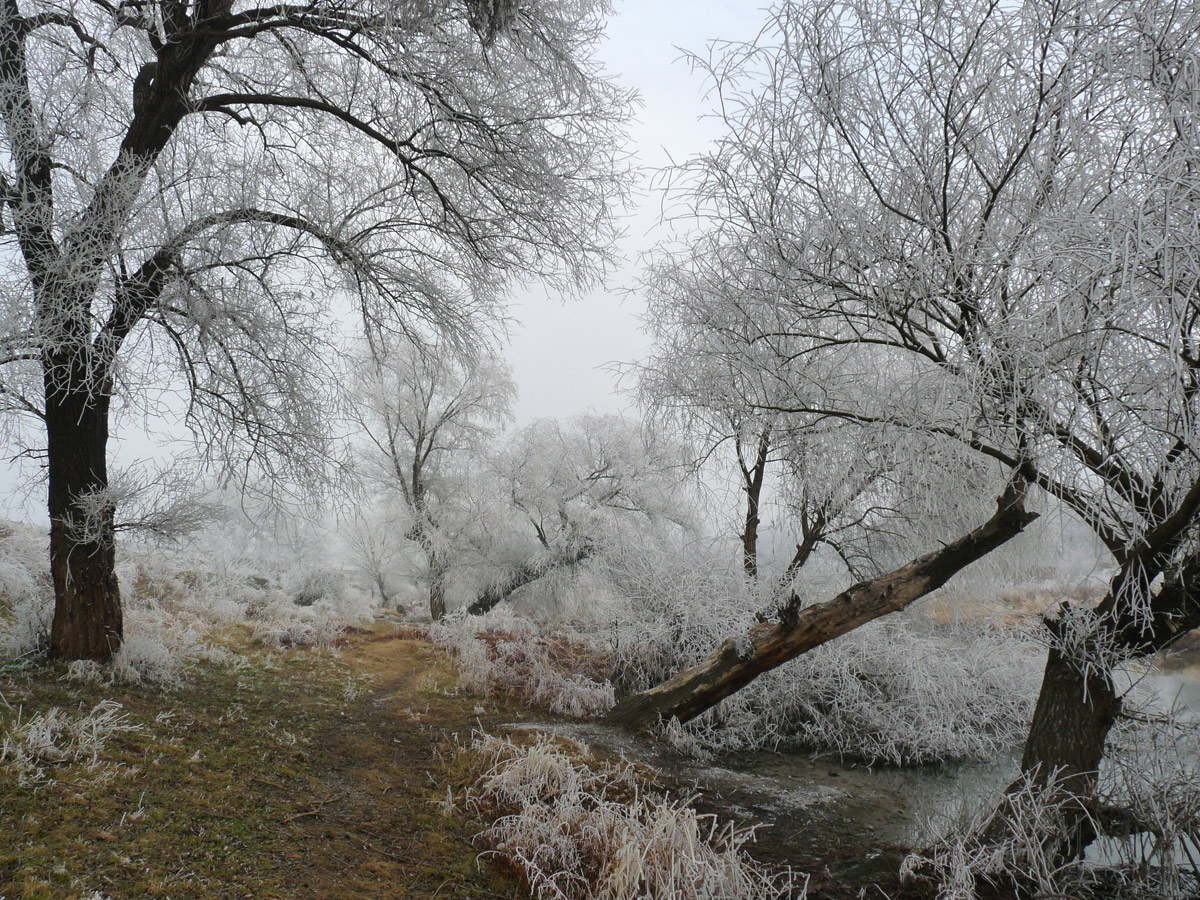 фото "***" метки: пейзаж, зима, туман