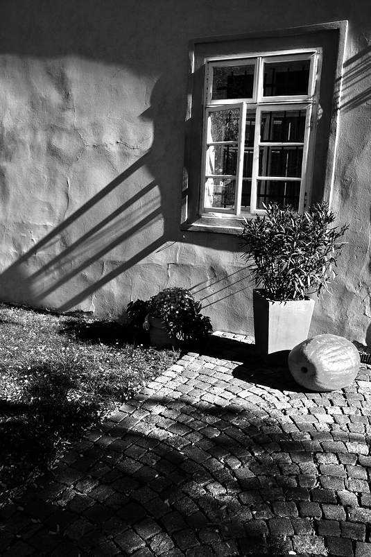 photo "Hатюрморт" tags: black&white, Prag, Prague, Praha
