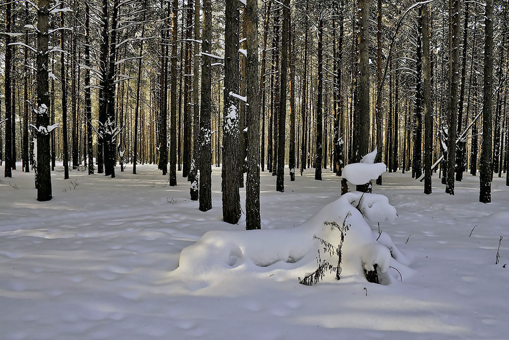 photo "***" tags: landscape, снежные скульптуры