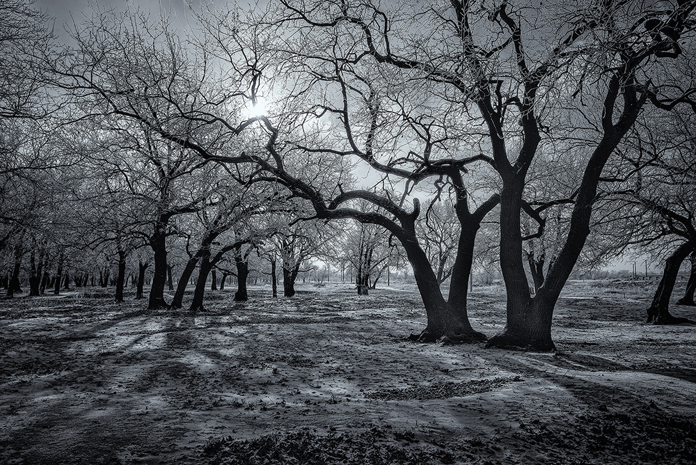 photo "***" tags: landscape, black&white, 