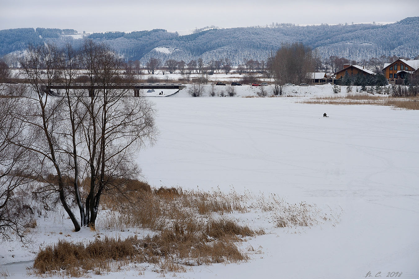 photo "It's a nasty day. Volga" tags: landscape, nature, 