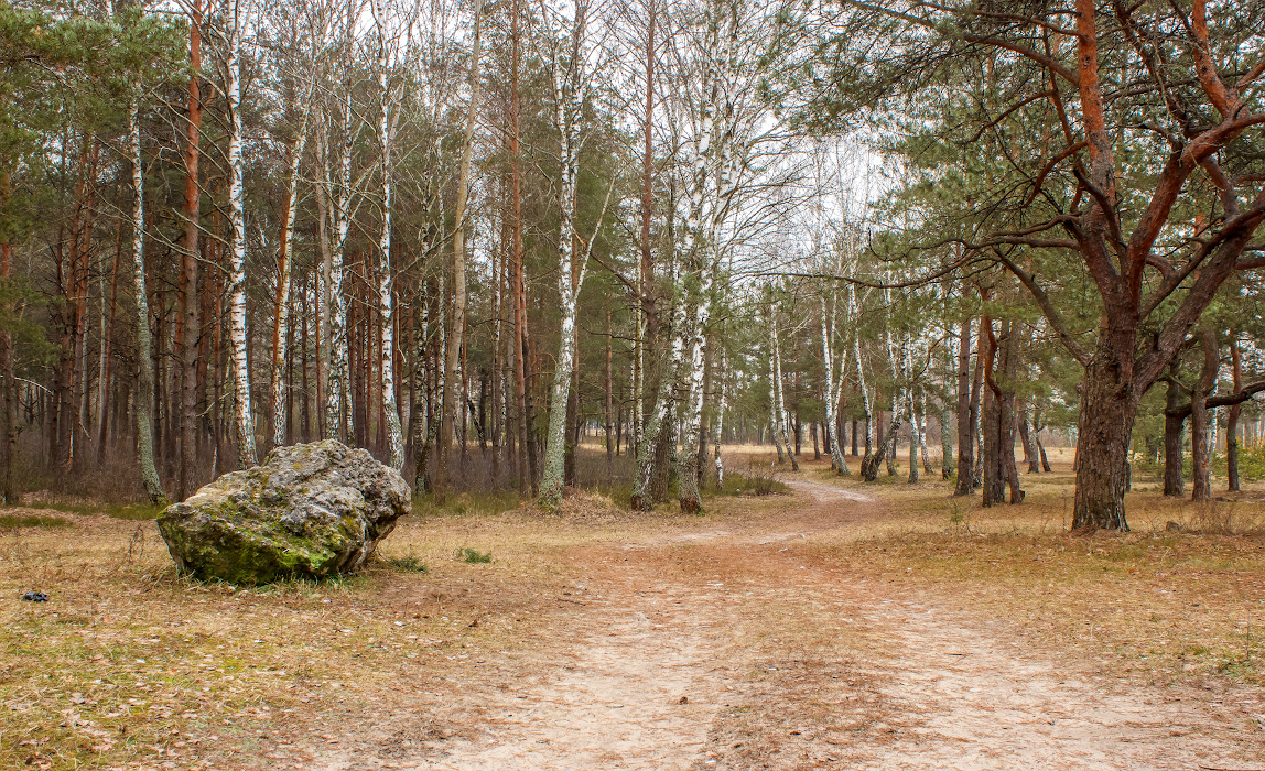 photo "***" tags: landscape, 