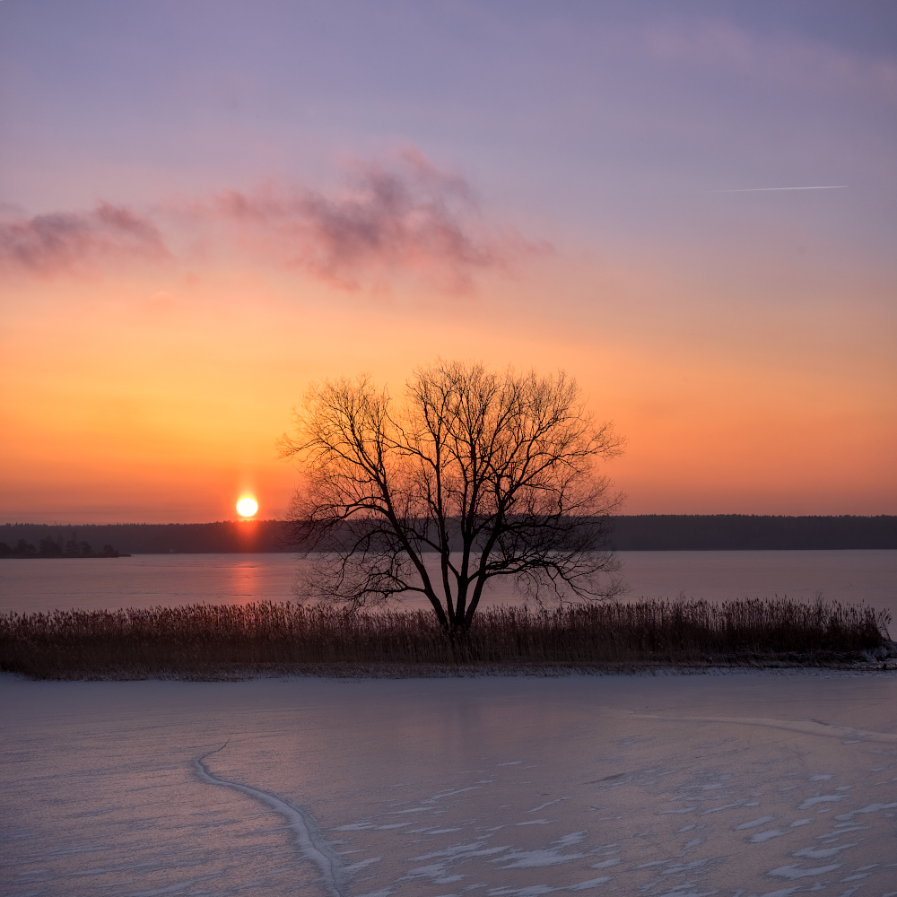 фото "Морозное утро" метки: природа, пейзаж, Беларусь, Набережная, вода, дерево, небо, озеро, снег, утро