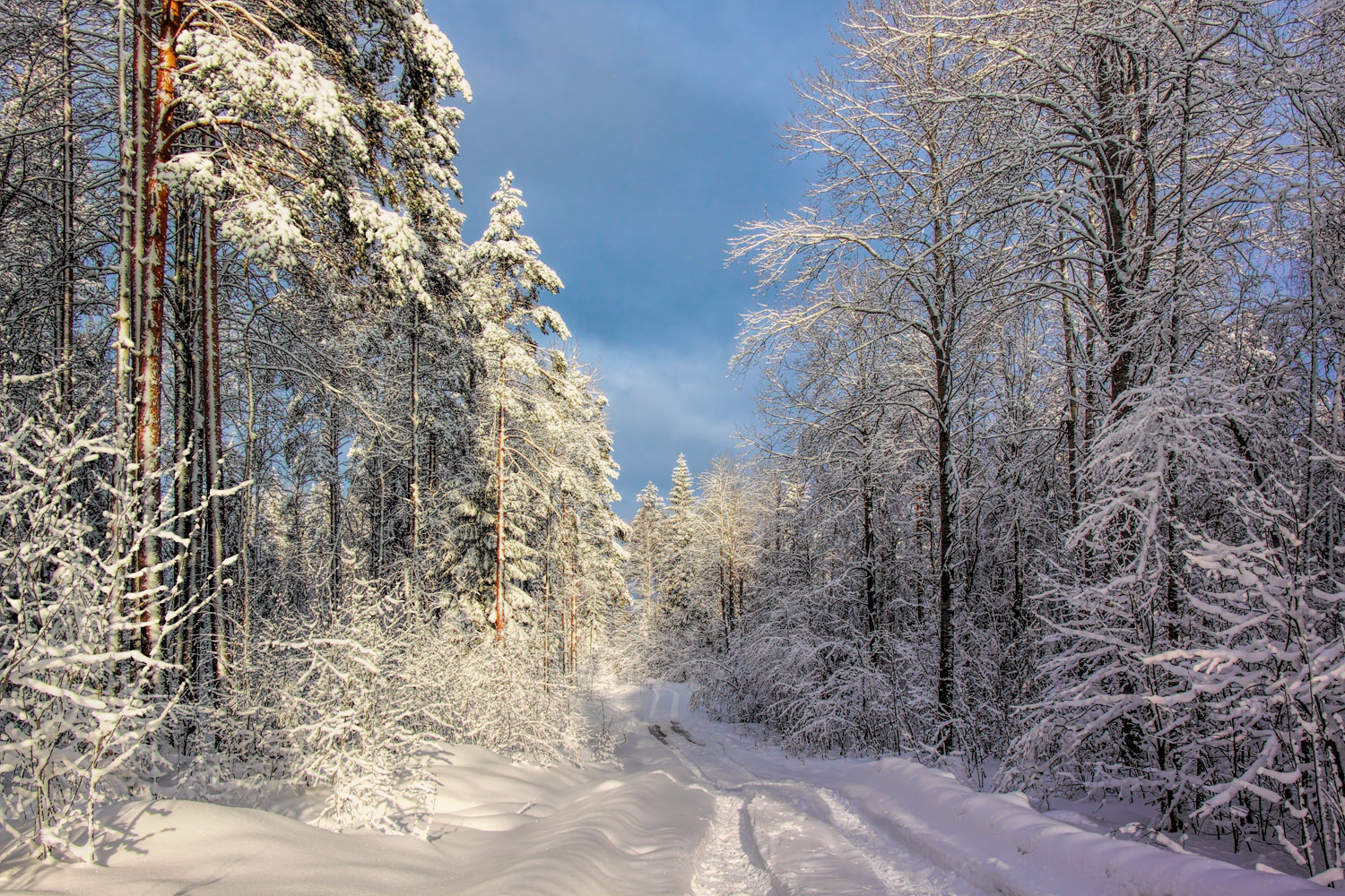 фото "***" метки: пейзаж, 