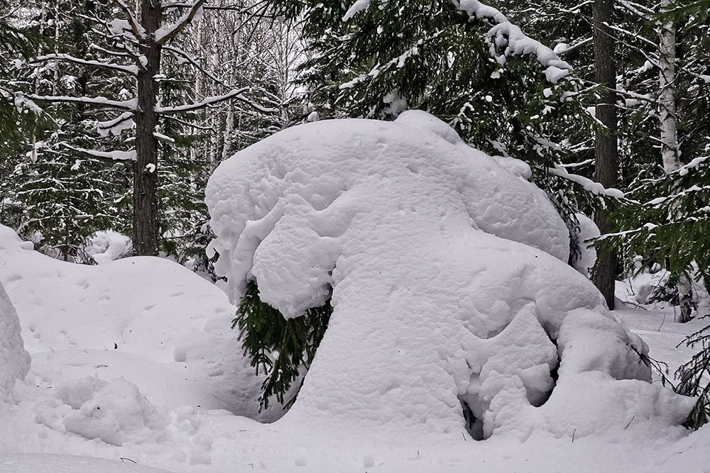 photo "***" tags: landscape, снежные зверюшки., снежные скульптуры, снежные человеческие скульптур