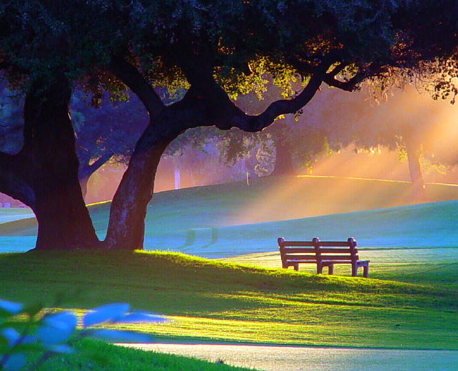 photo "Fantasy 2" tags: landscape, nature, light, morning, park