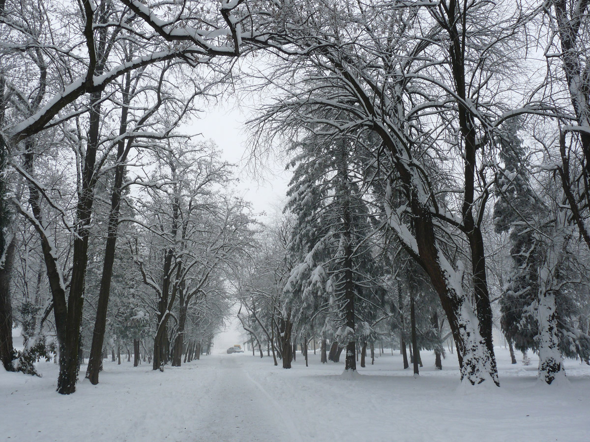 photo "***" tags: nature, city, winter