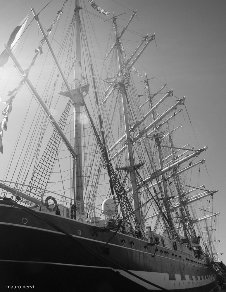 photo "queen of the sea" tags: black&white, 