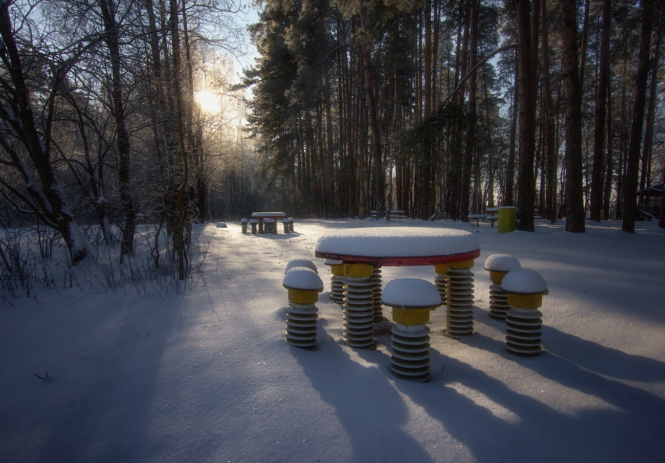 фото "Зимние скамейки" метки: пейзаж, зима, лес, скамейки