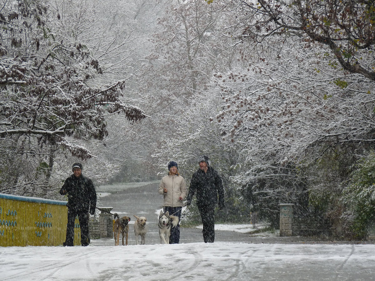 photo "***" tags: nature, street, winter