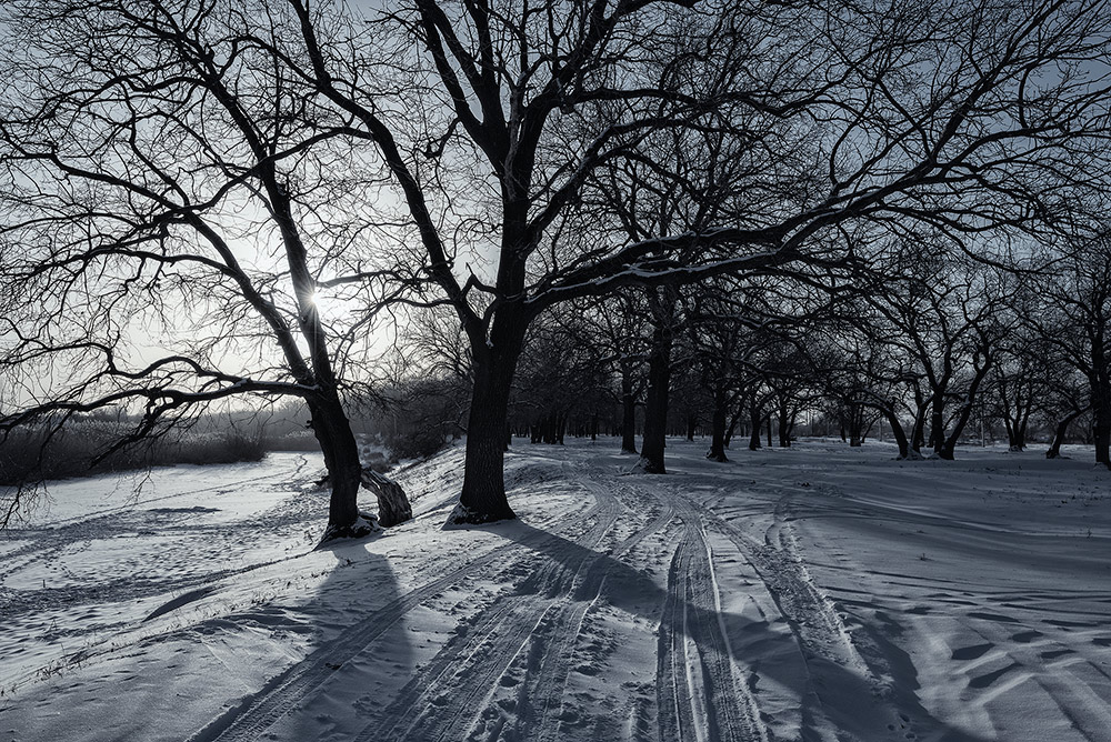фото "Морозным утром" метки: пейзаж, черно-белые, 