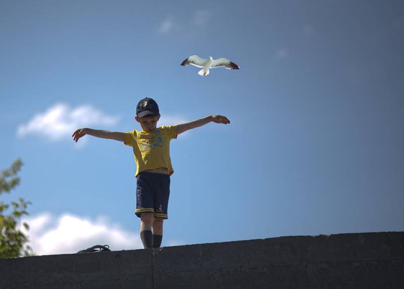 photo "Синергия" tags: portrait, genre, bird, boy, child, children