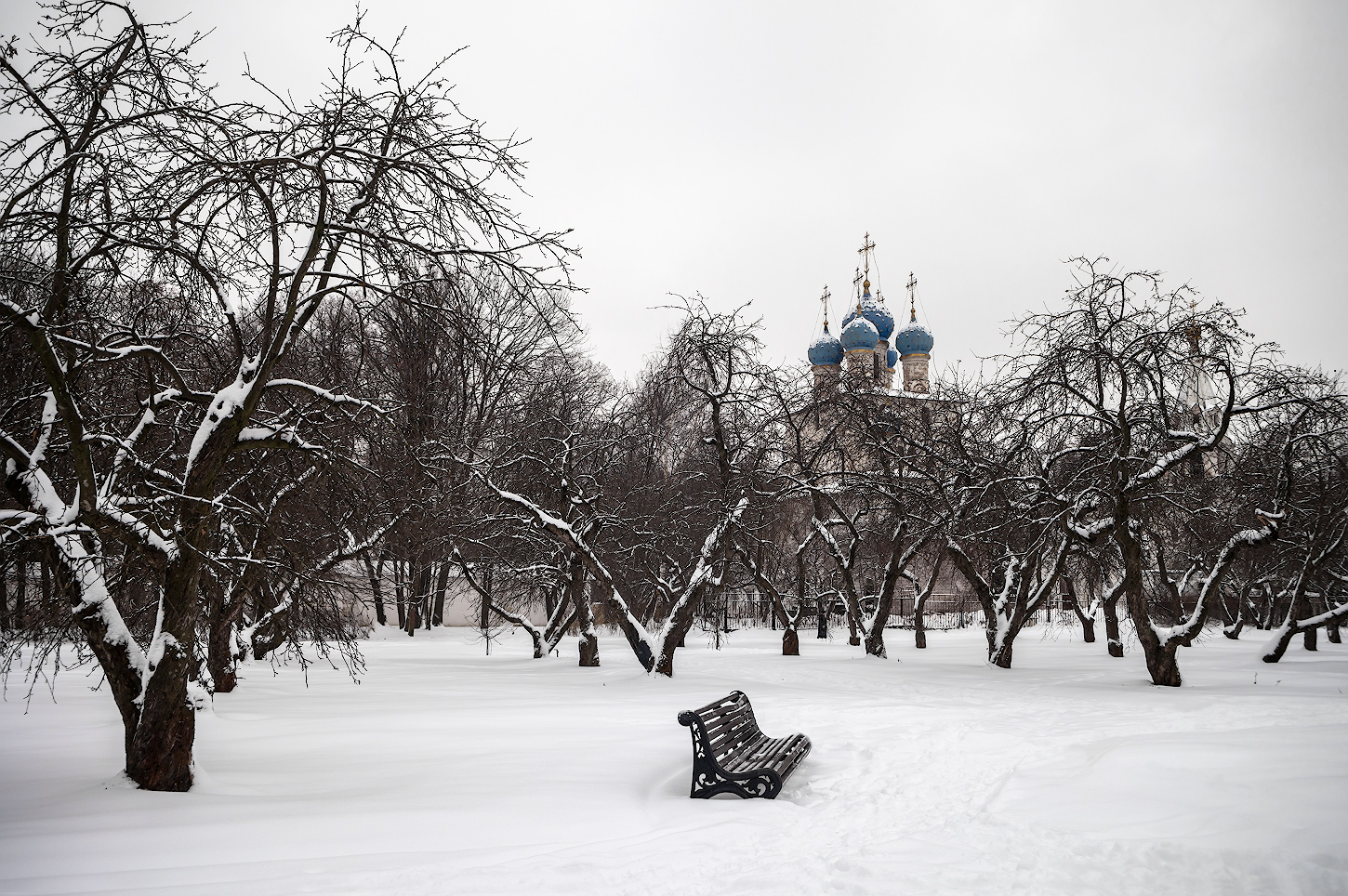 фото "Зимняя тишина" метки: , 