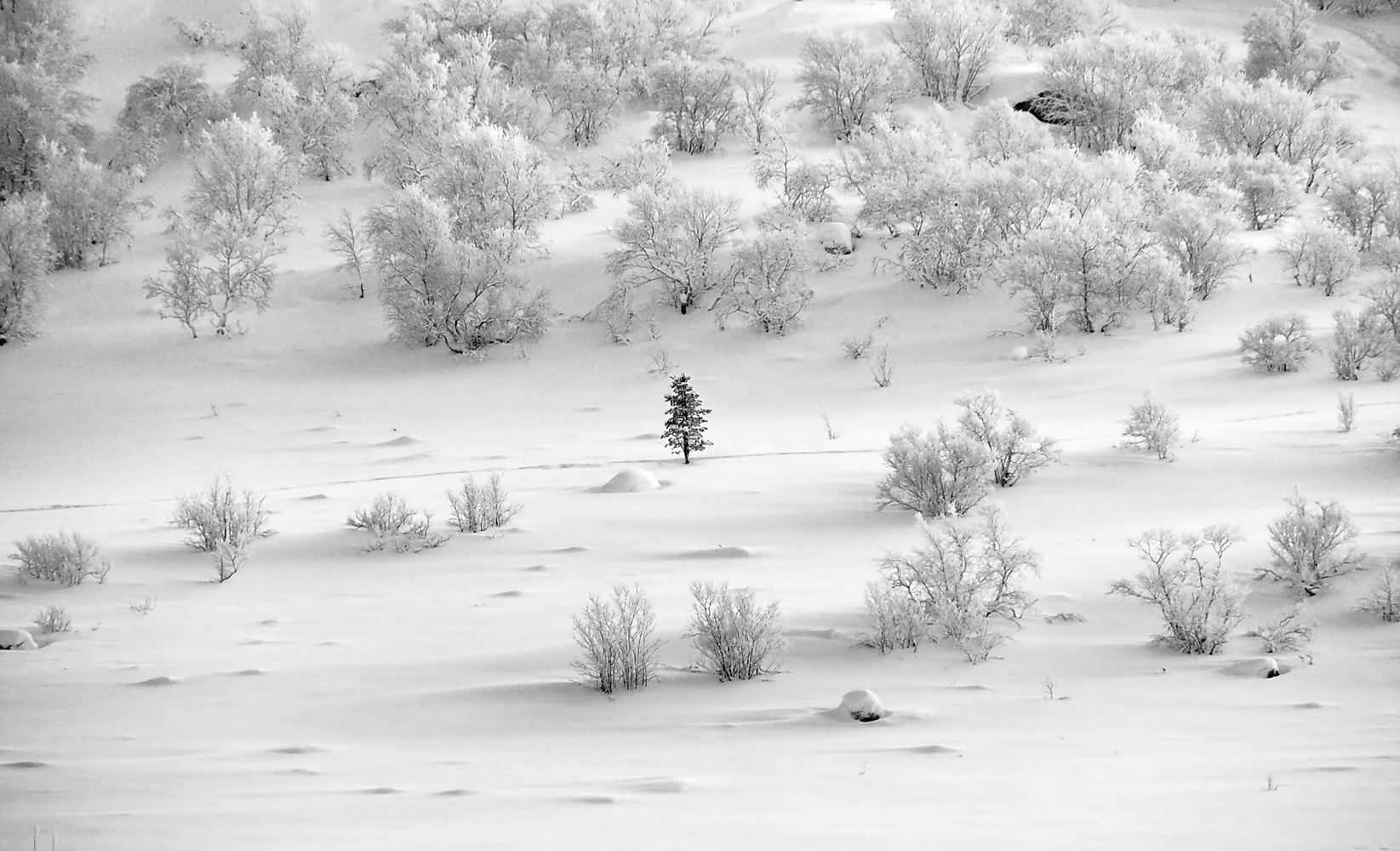 фото "***" метки: пейзаж, 