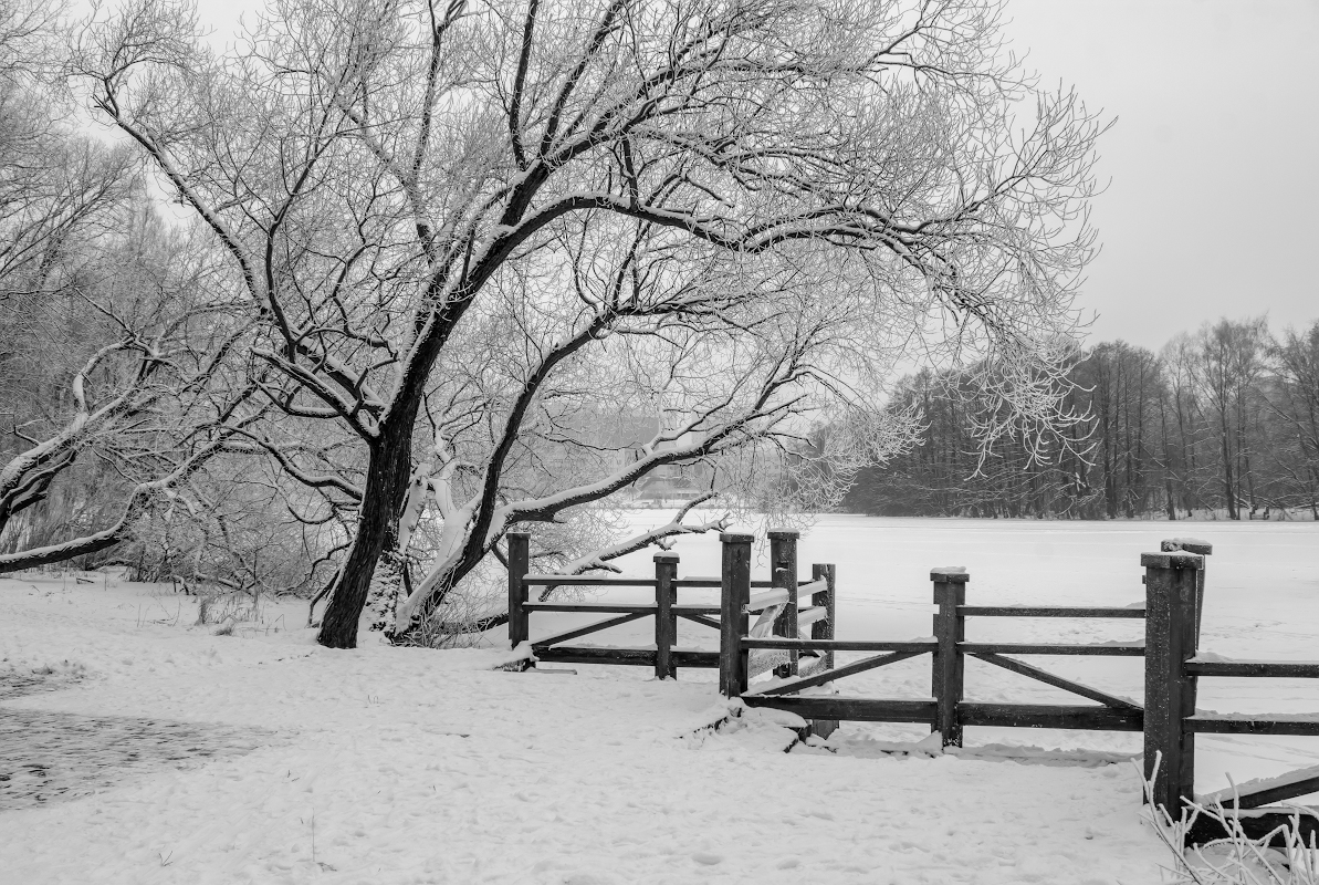 photo "***" tags: landscape, 