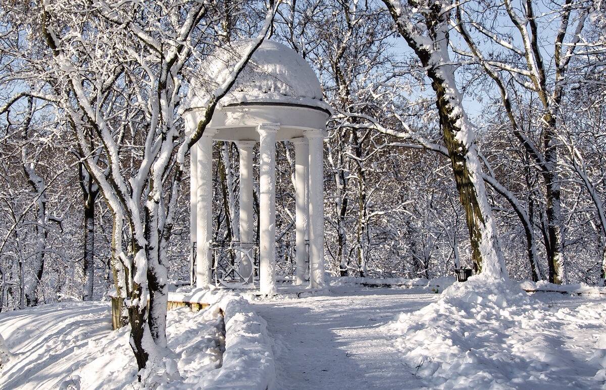 фото "В зимнем парке" метки: пейзаж, 