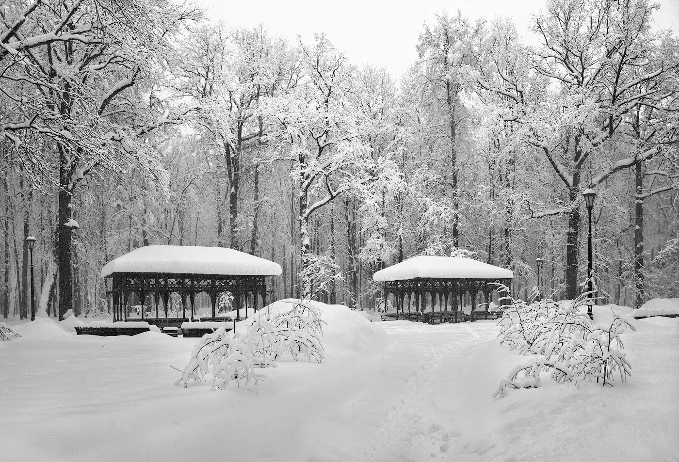 фото "***" метки: природа, 