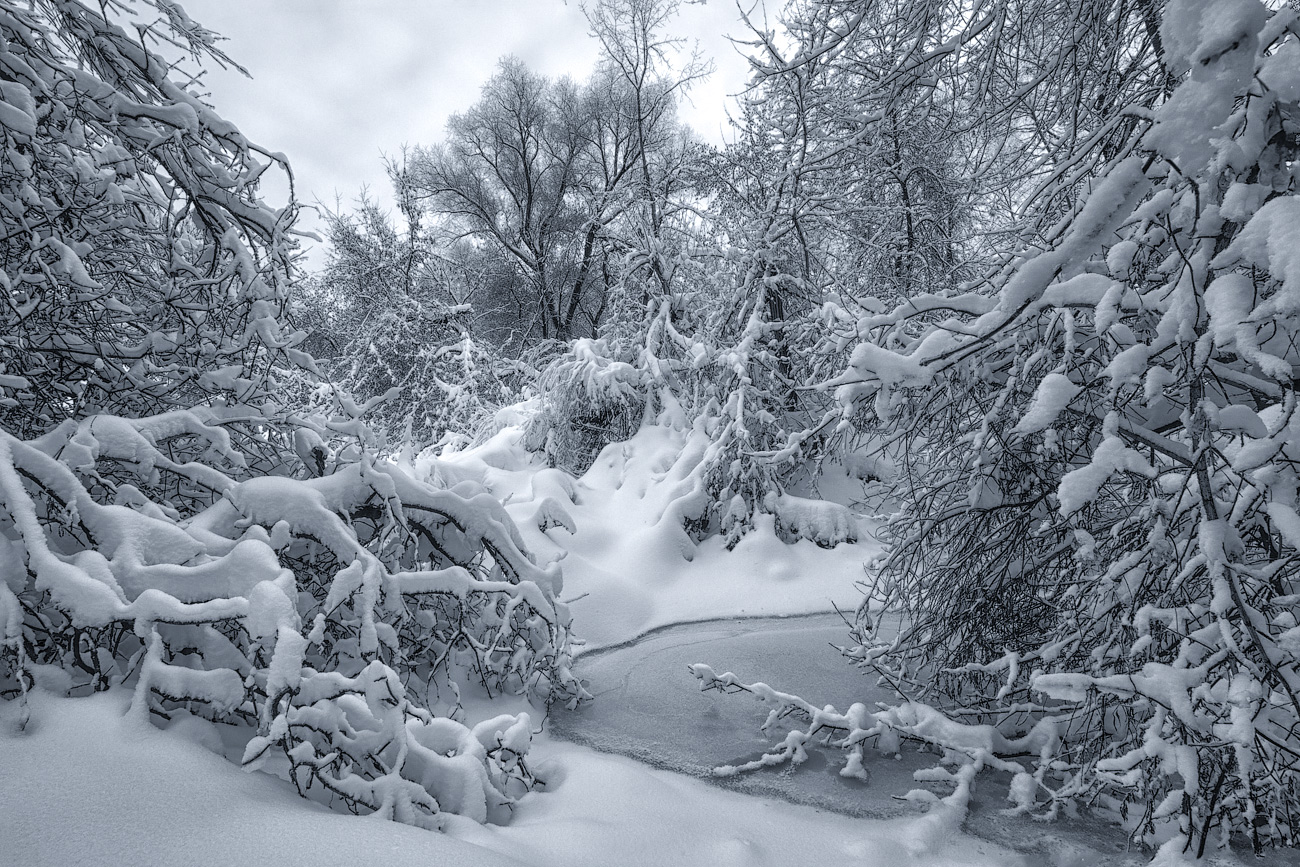 фото "Под февральским покрывалом" метки: пейзаж, зима, лес