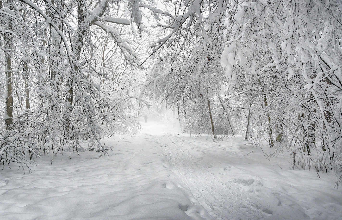 фото "Почувствовать зиму" метки: пейзаж, природа, фрагмент, 