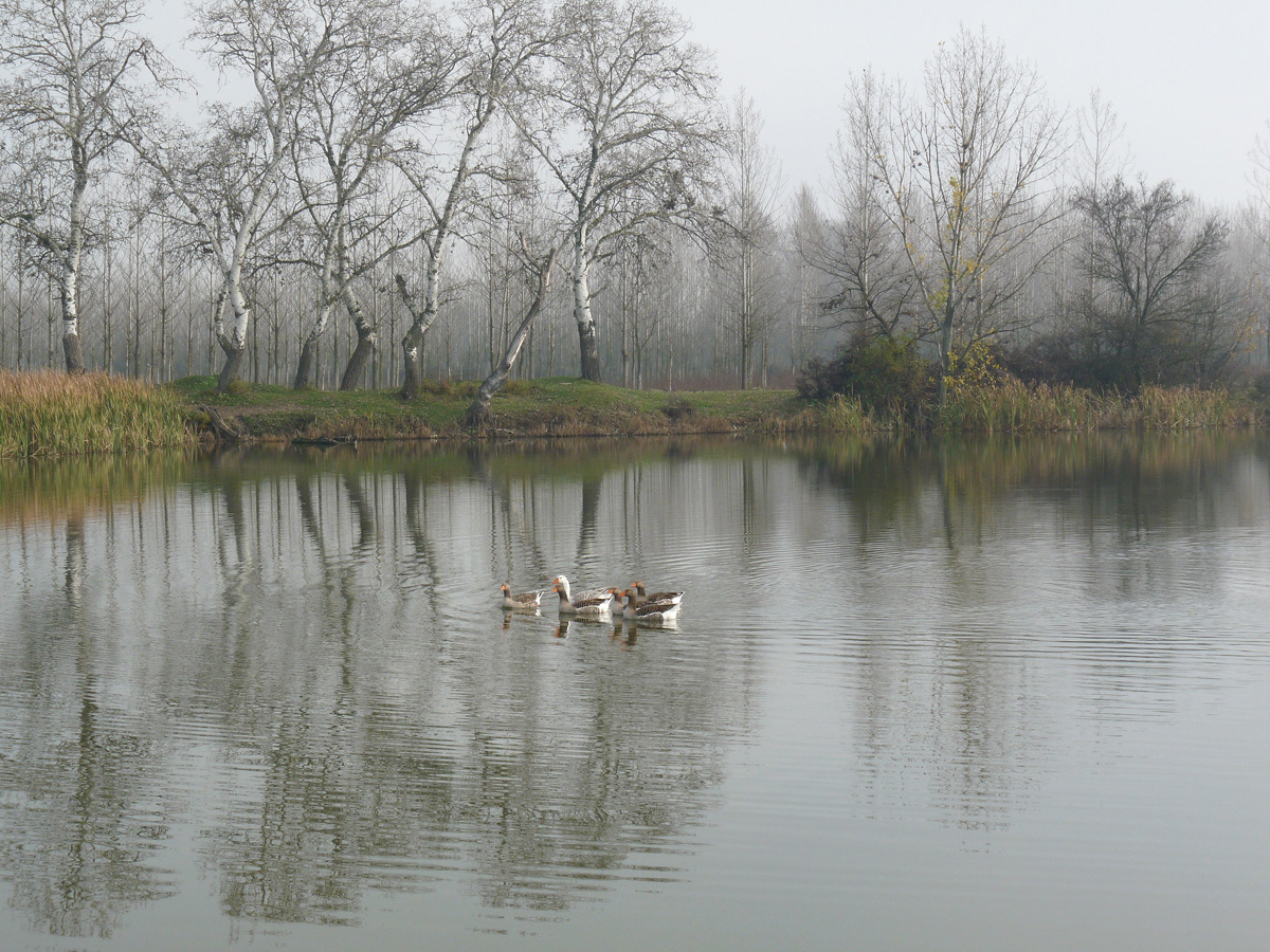 photo "***" tags: landscape, fog, water