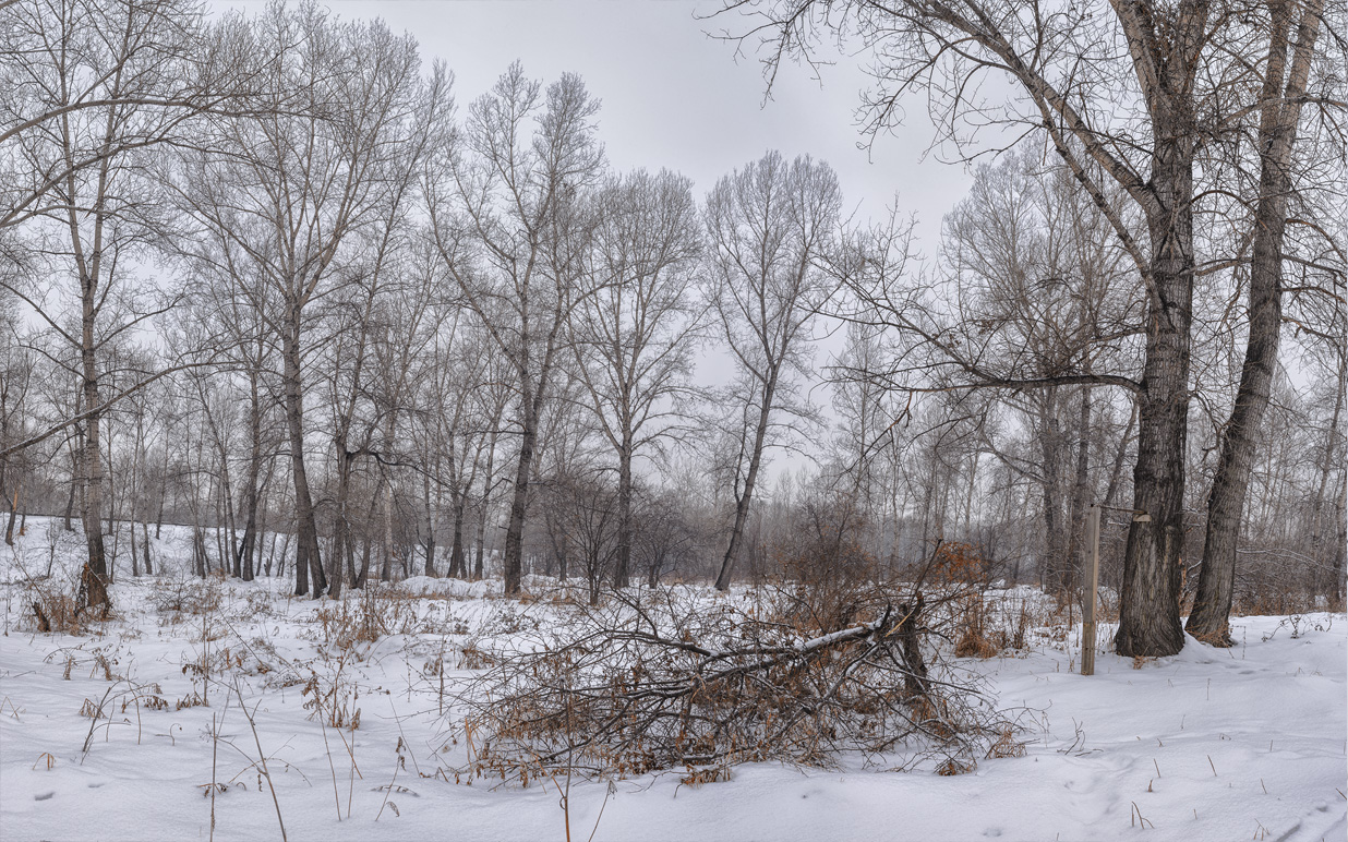 фото "Меланхолия." метки: пейзаж, 
