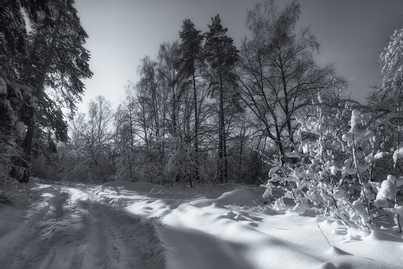 фото "Снежный путь" метки: пейзаж, зима, лес, лесная дорога, утро