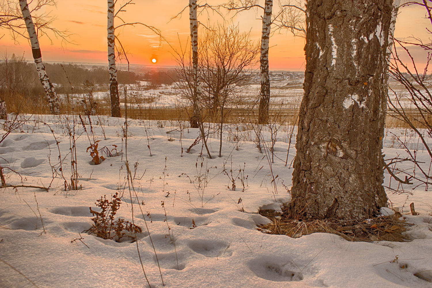 photo "***" tags: landscape, nature, 