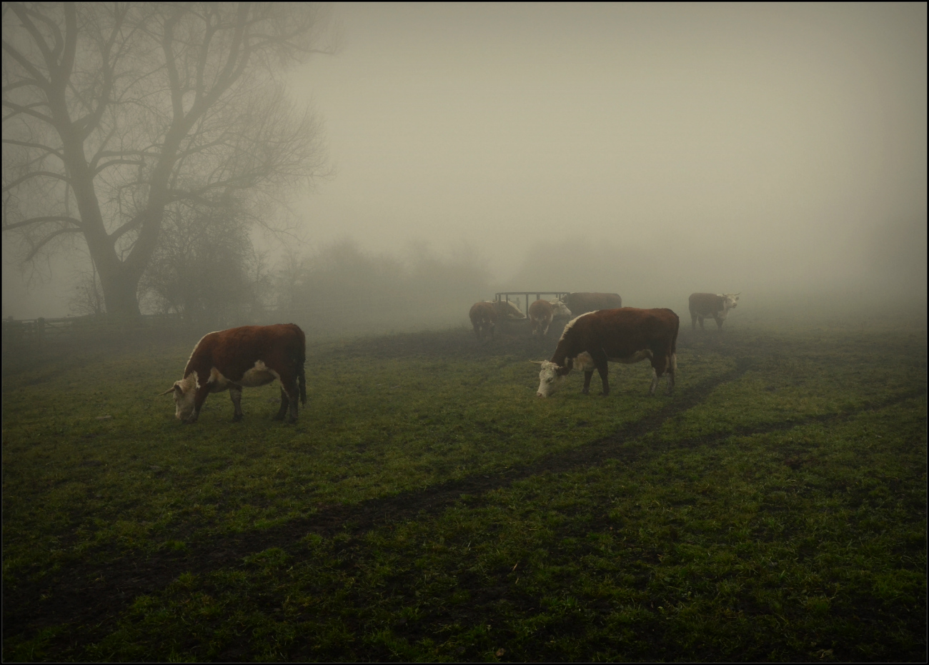 photo "***" tags: landscape, 